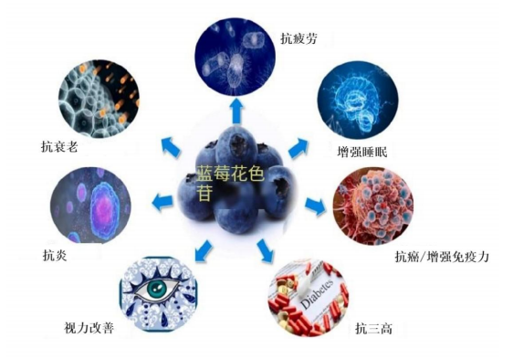 微信图片_20231130092731