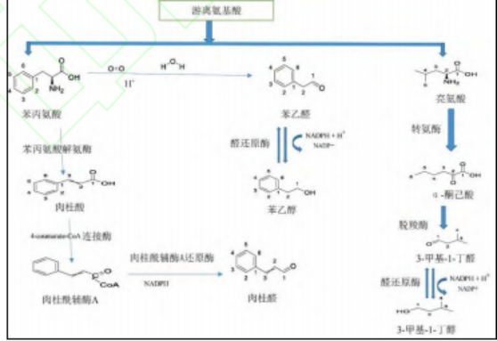 微信图片_20231214143847