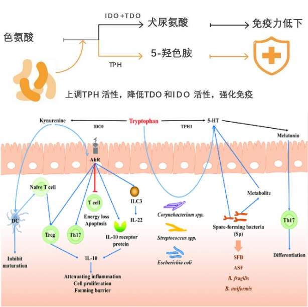 微信截图_20240115095622