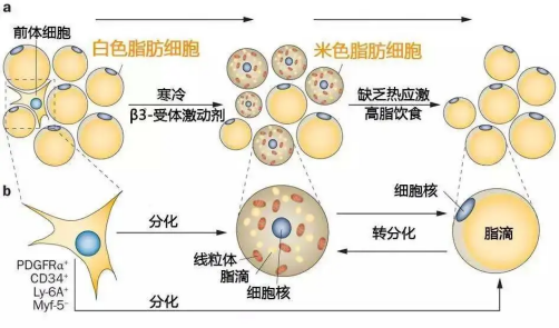 微信图片_20240228092117