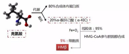 微信图片_20240604091816