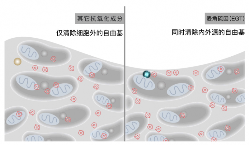 微信图片_20240705091436