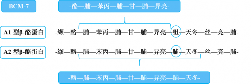 微信图片_20240823140416