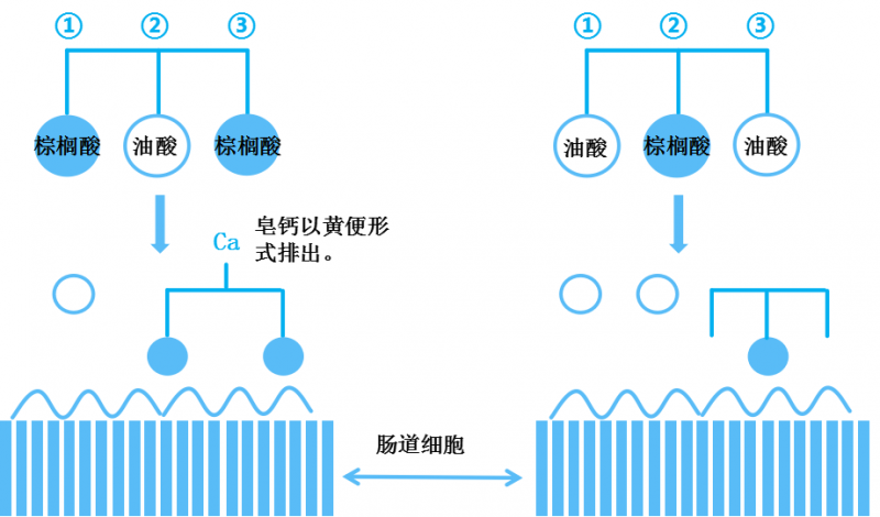 微信图片_20240827094931