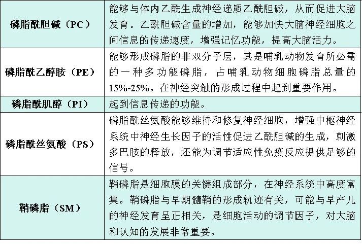 微信图片_20240827095011