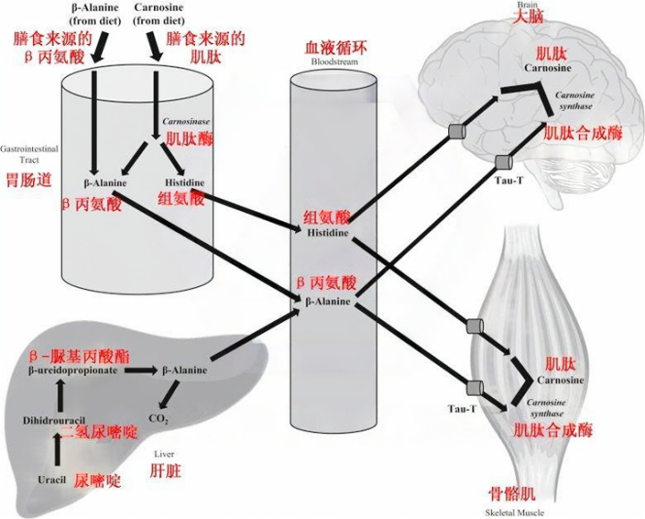 微信图片_20240924101347