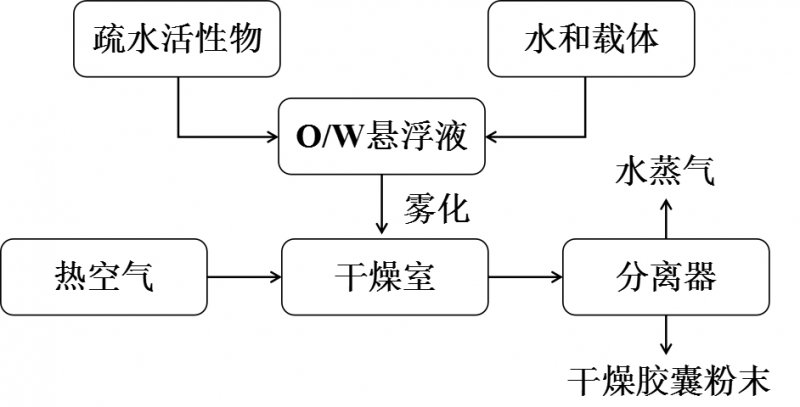 微信图片_20250515094356