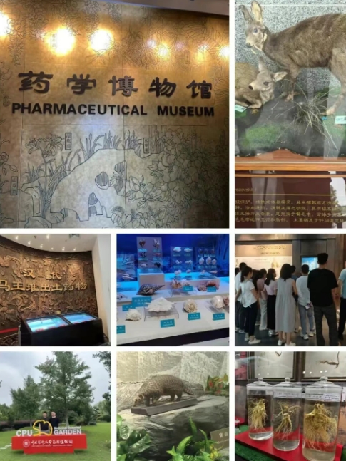 微信截图_20250613092918